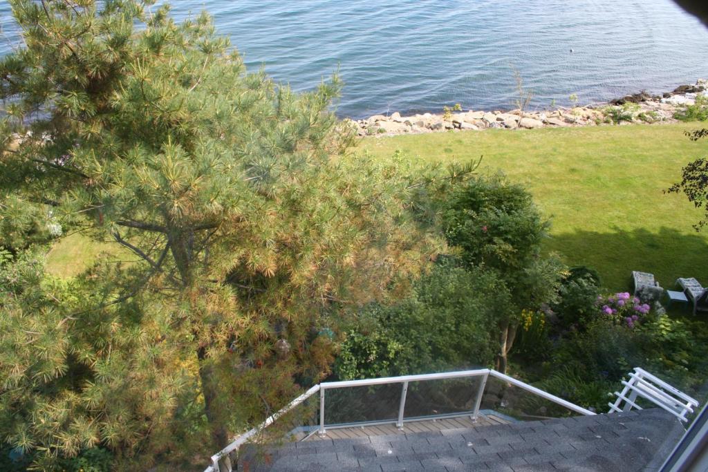 A Boat To Sea Bed & Breakfast North Sydney Bagian luar foto